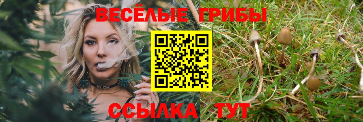 Галлюциногенные грибы Psilocybine cubensis  купить наркоту  Галлюциногенные грибы мицелий  Дубна  Вход с VPN 